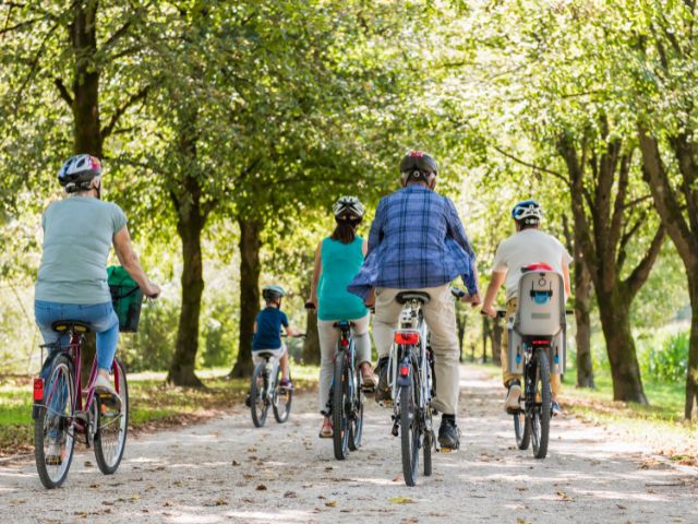 Family of cyclists
